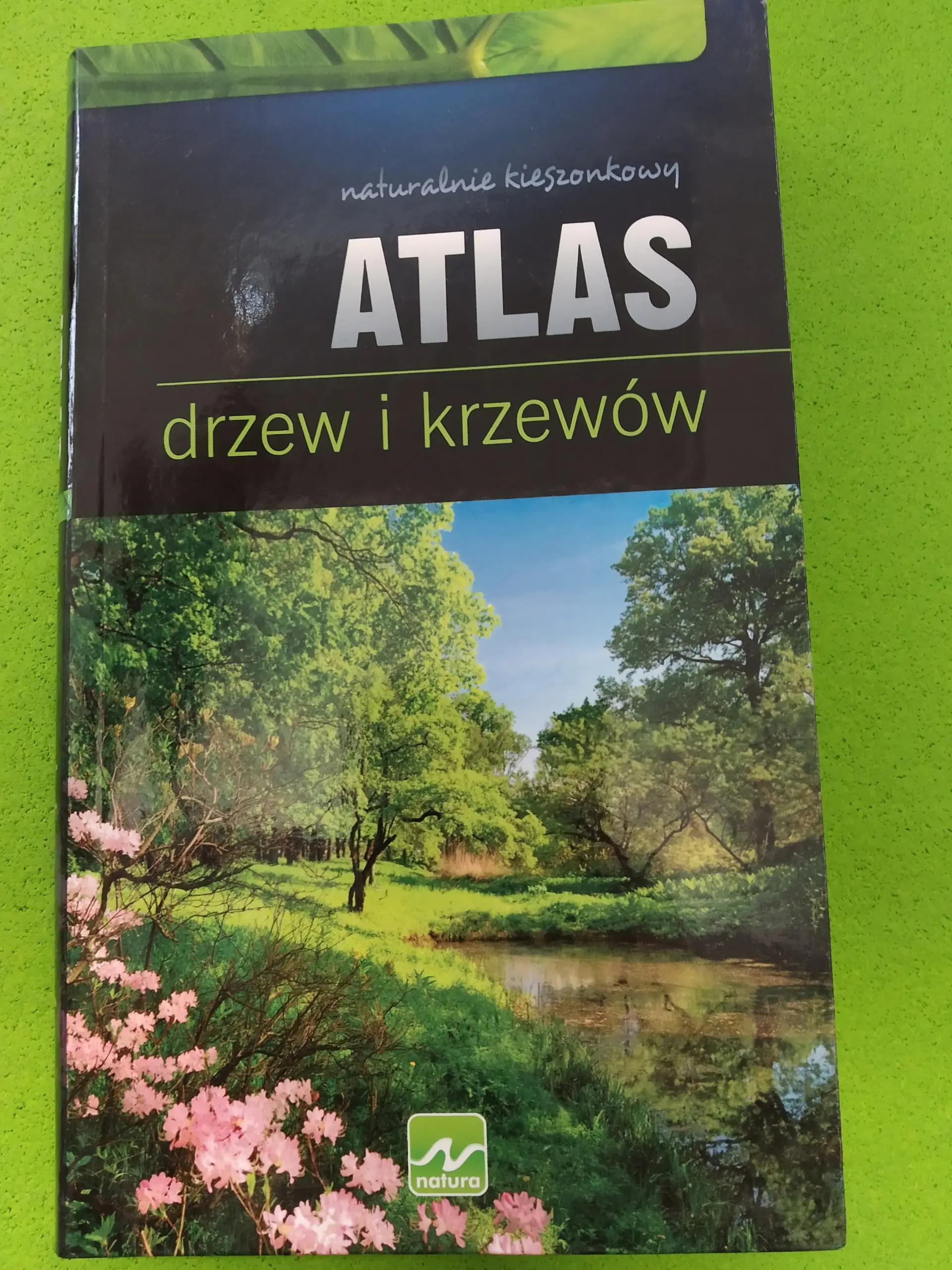 Książka - Atlas drzew i krzewów - Renata Krzyściak-Kosińska, Marek Kosiński - 
