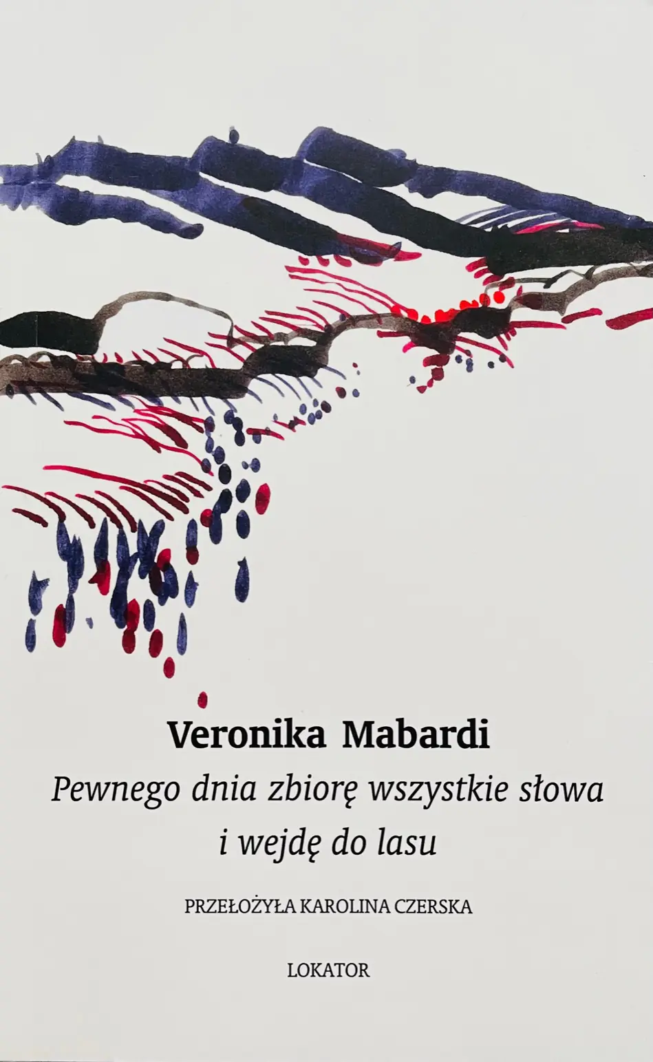 Książka - Pewnego dnia zbiorę wszystkie słowa i wejdę do lasu