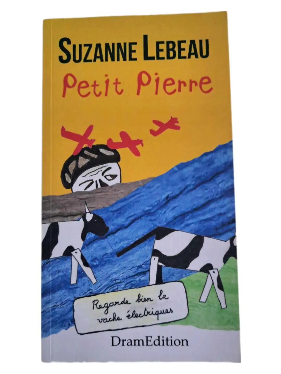 Książka - Petit Pierre