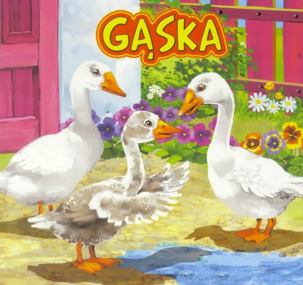 Książka - Gąska