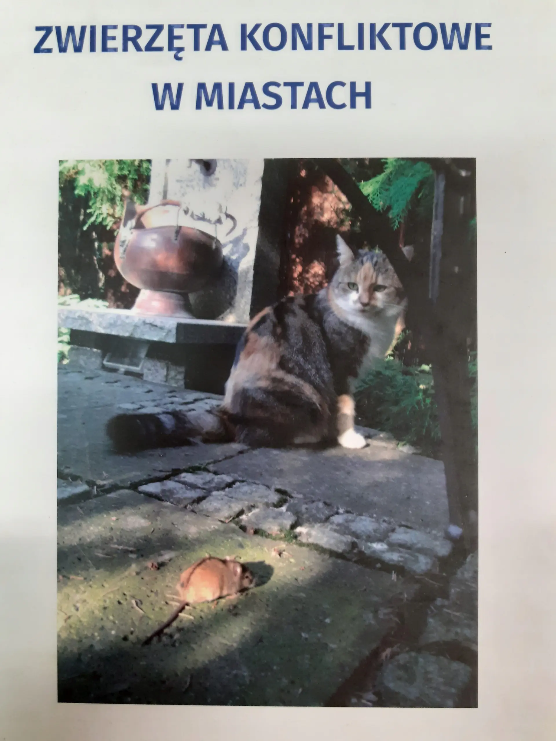 Książka - ZWIERZĘTA KONFLIKTOWE W MIASTACH
