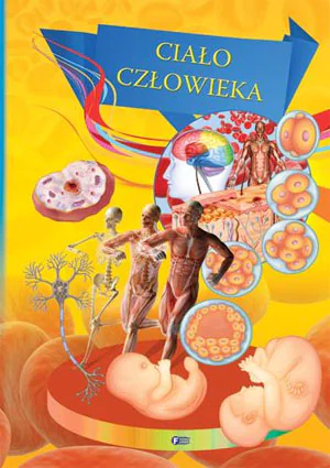 Ciało człowieka