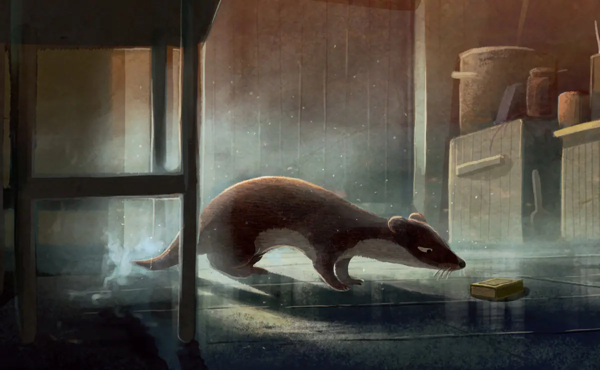 Książka - Pożyczalscy na wyspie. Pożyczalscy. Tom 3