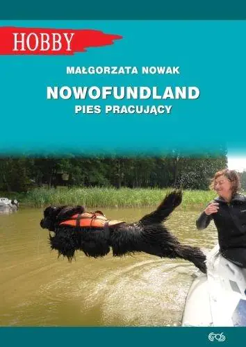 Nowofundland pies pracujący