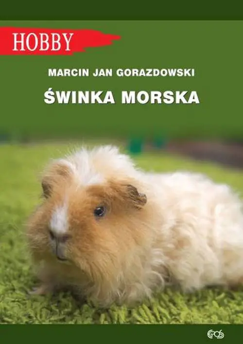 Książka - Świnka morska