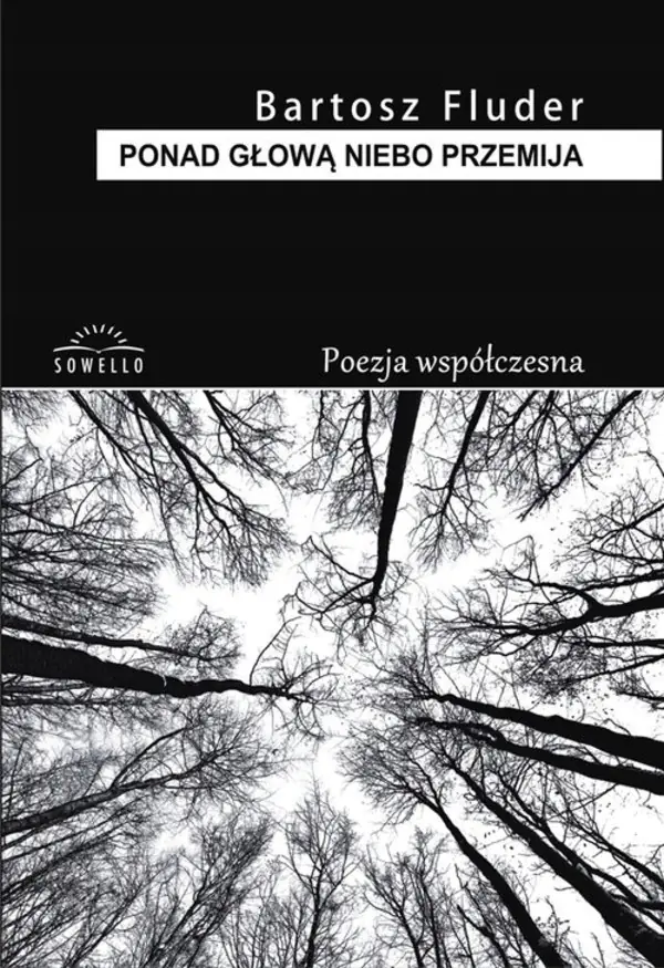 Książka - Ponad głową niebo przemija - Bartosz Fluder