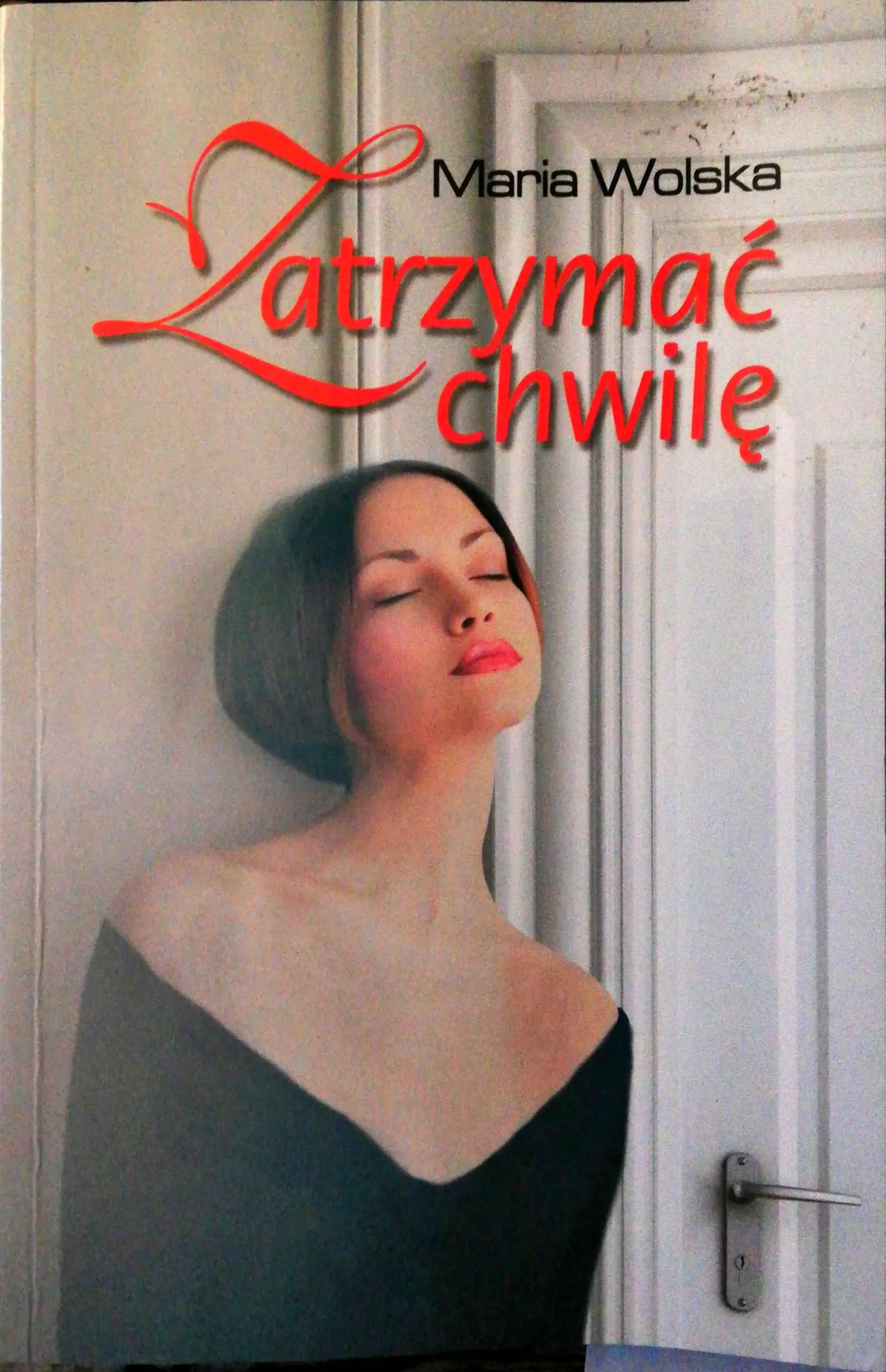 Książka - Zatrzymać chwilę