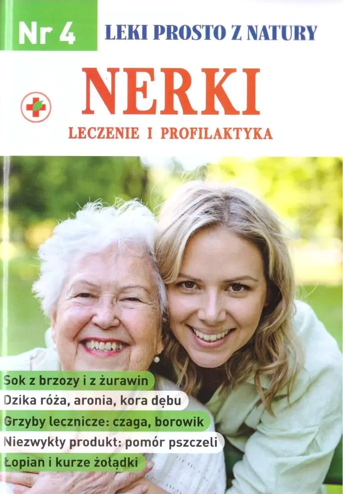 Książka - Wyprawa malców po Błękitną Igłę. Kamień Władzy. Tom 1