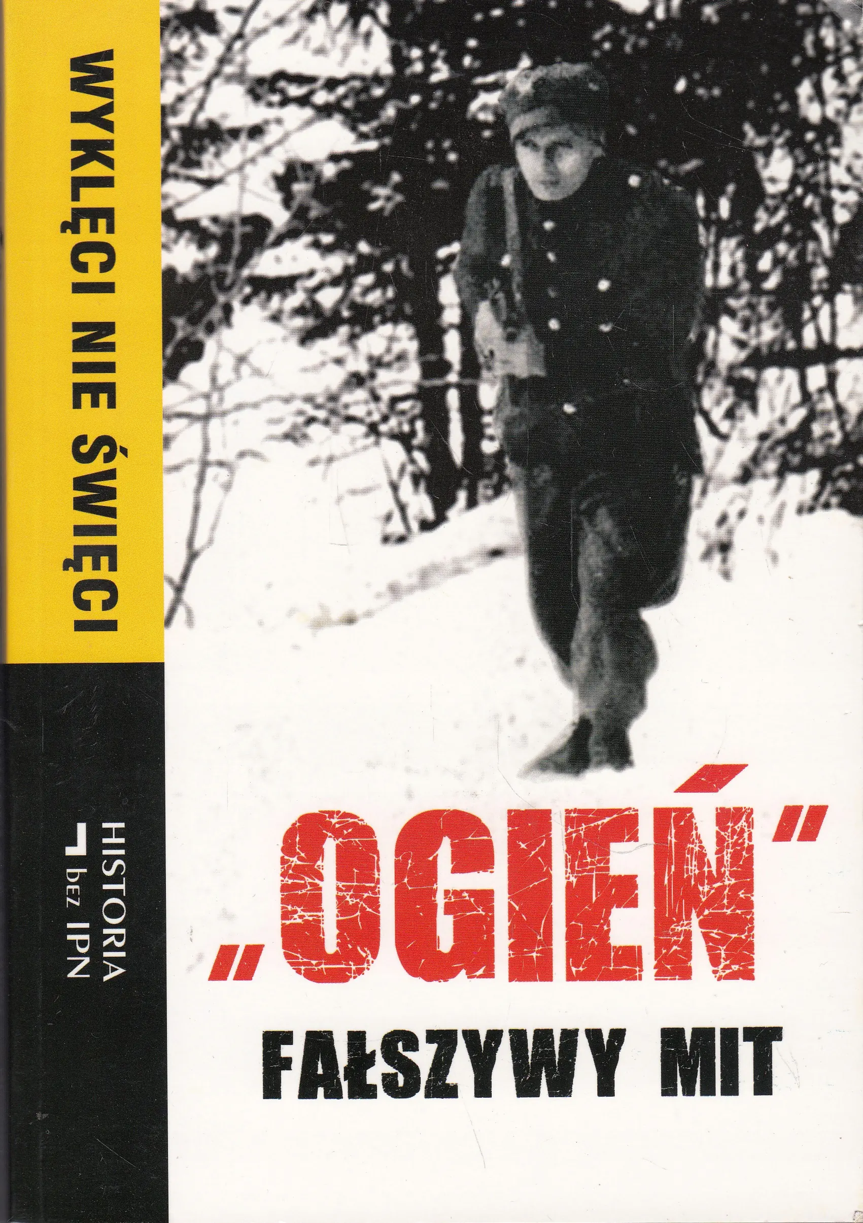 Książka - Wyklęci nie święci Ogień fałszywy mit