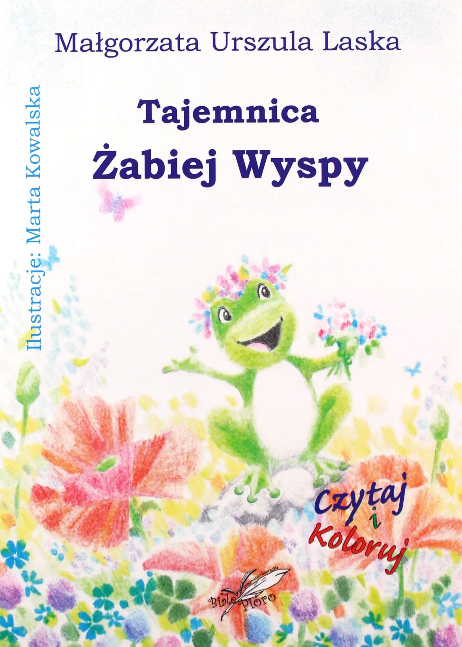 Książka - Tajemnica Żabiej Wyspy
