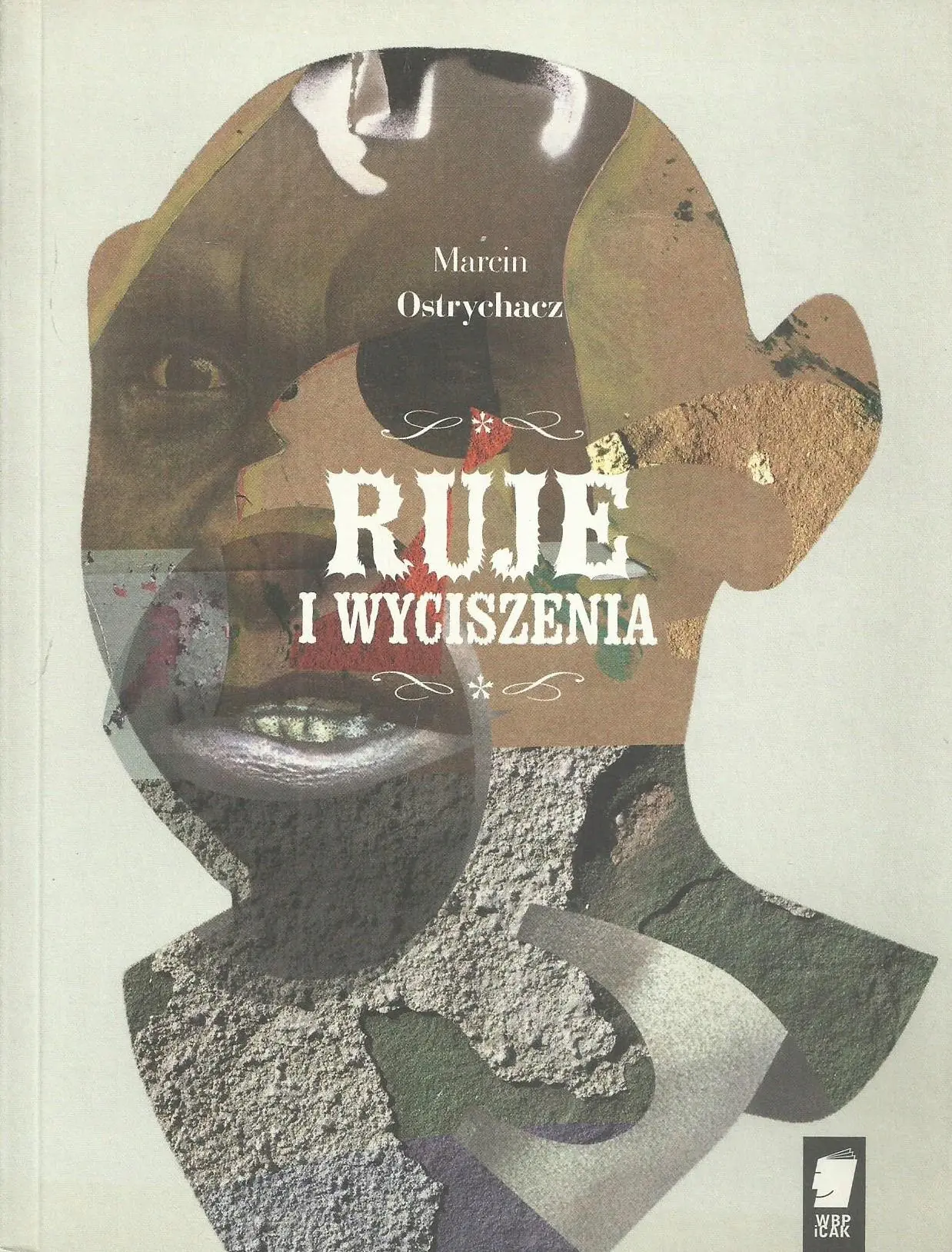 Książka - Ruje i wyciszenia