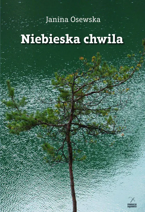Książka - Niebieska chwila