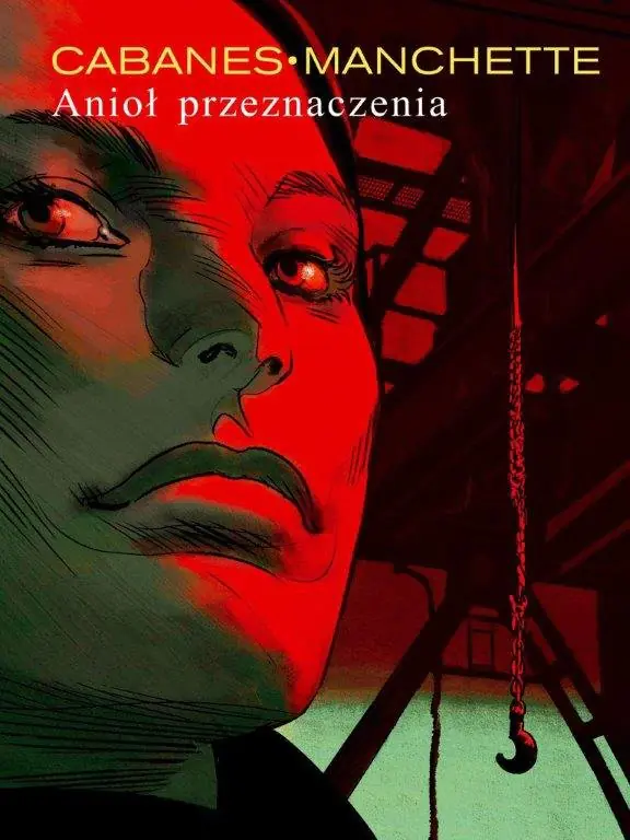 Książka - Anioł przeznaczenia