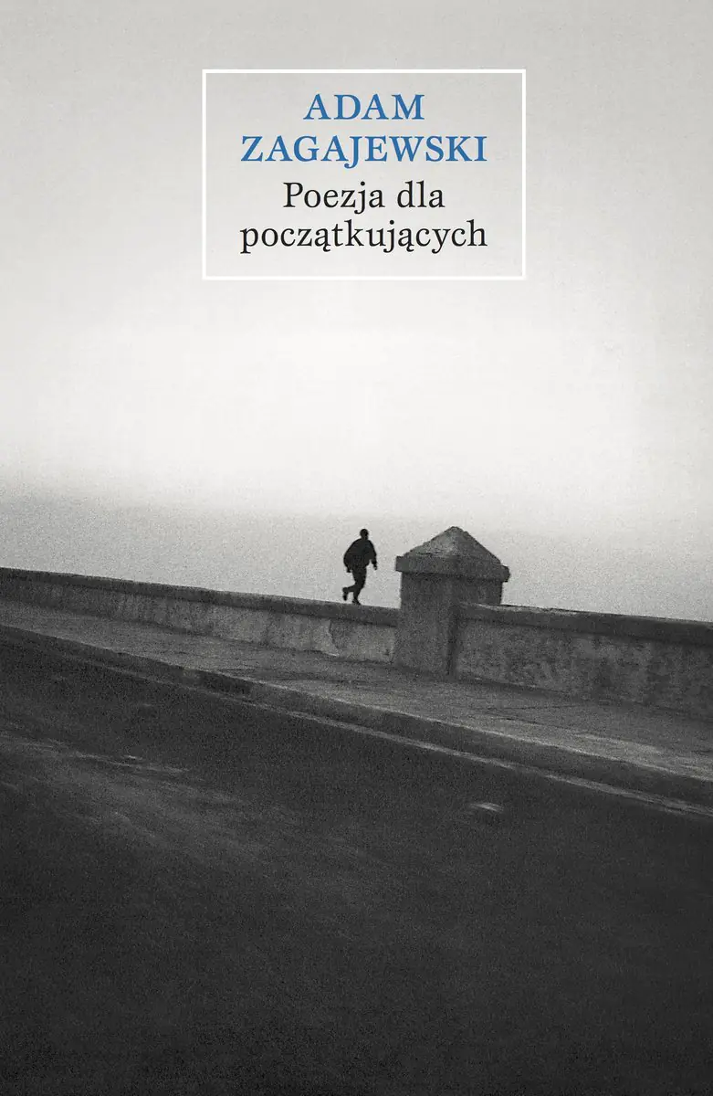 Książka - Poezja dla początkujących