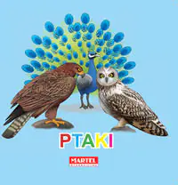 Książka - Ptaki