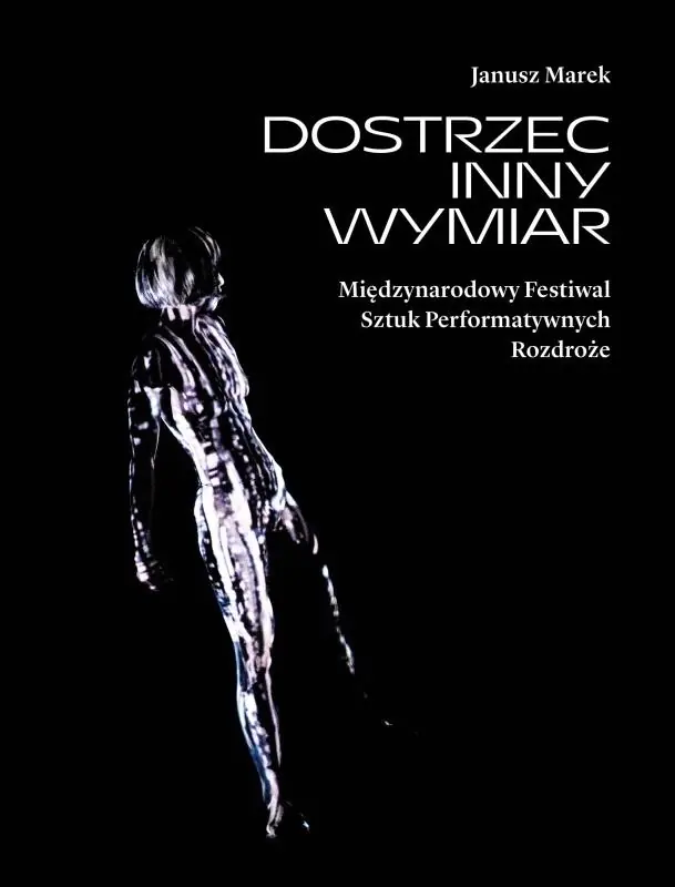 Książka - Dostrzec inny wymiar