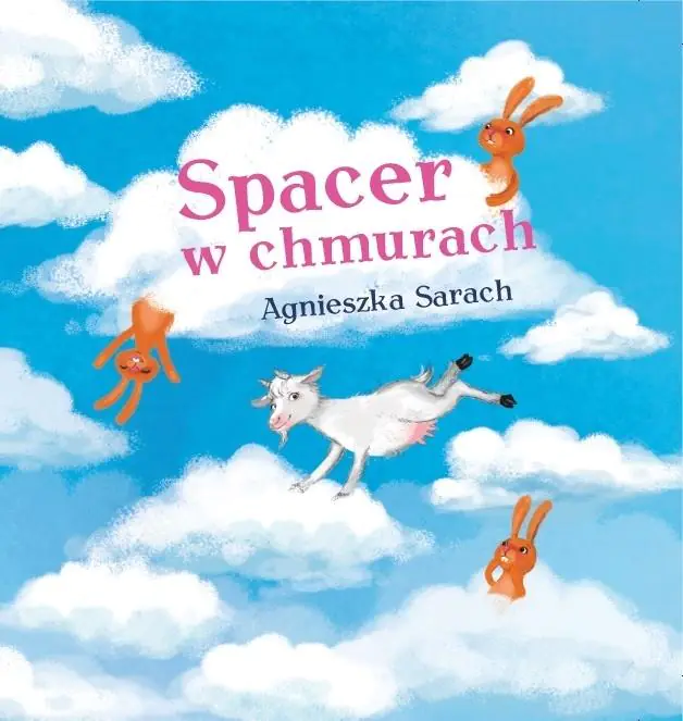 Książka - Spacer w chmurach