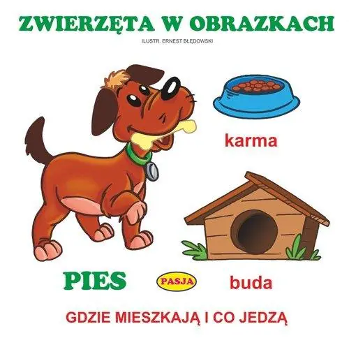 Książka - Zwierzęta w obrazkach