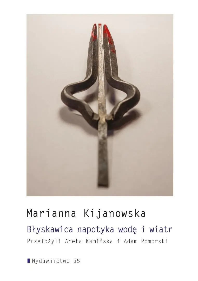 Książka - Błyskawica napotyka wodę i wiatr