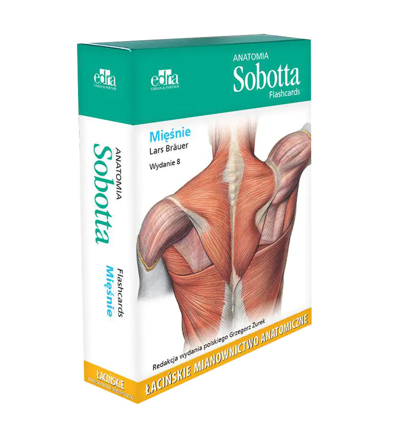 Książka - Anatomia Sobotta Flashcards. Mięśnie. Łacińskie mianownictwo anatomiczne