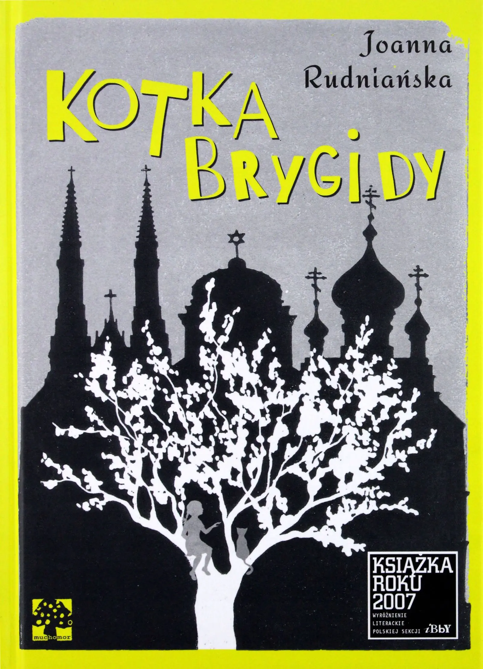 Książka - Kotka Brygidy