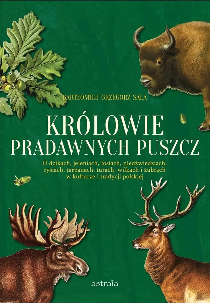 Książka - Królowie pradawnych puszcz