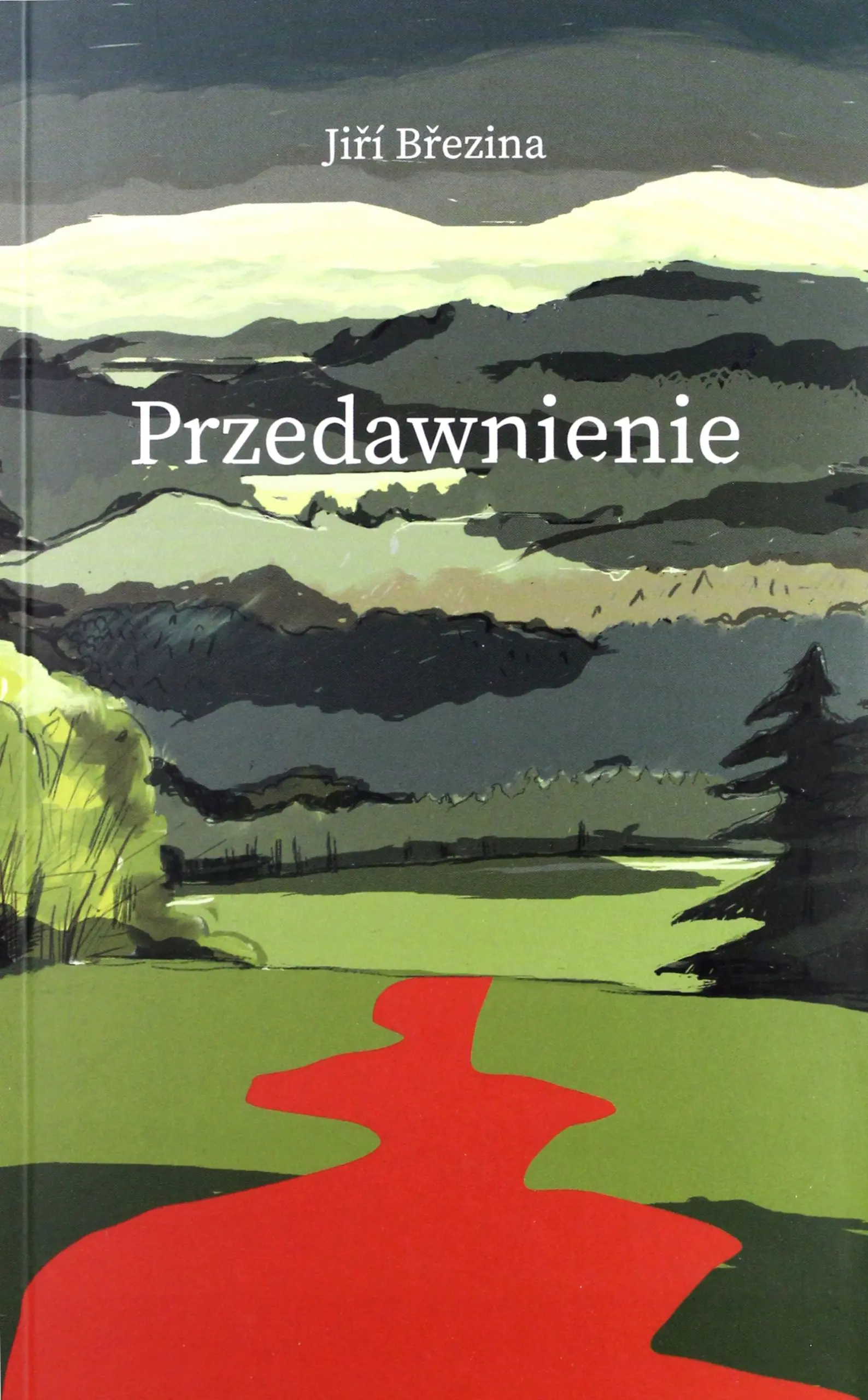 Książka - Przedawnienie