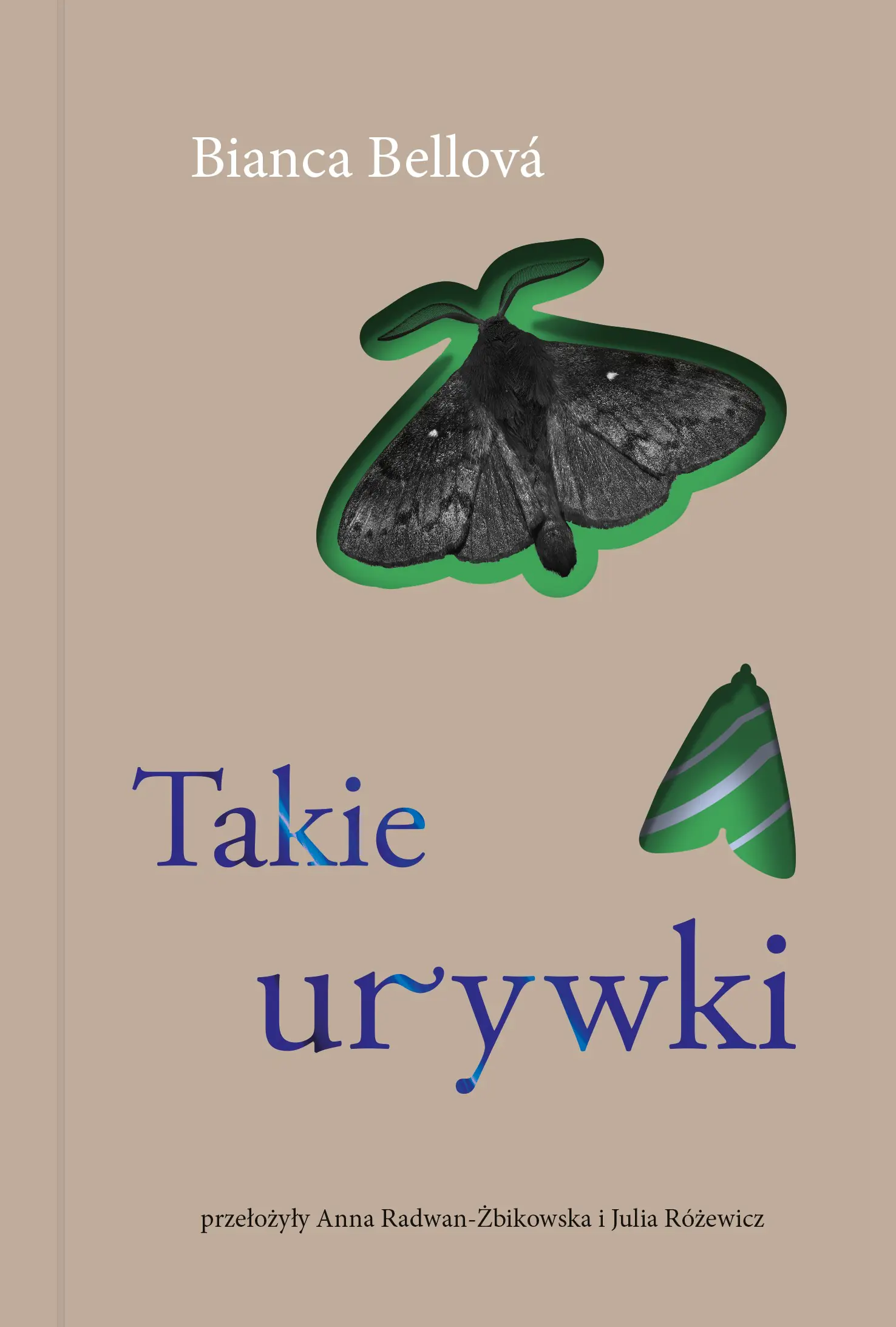 Książka - Takie urywki