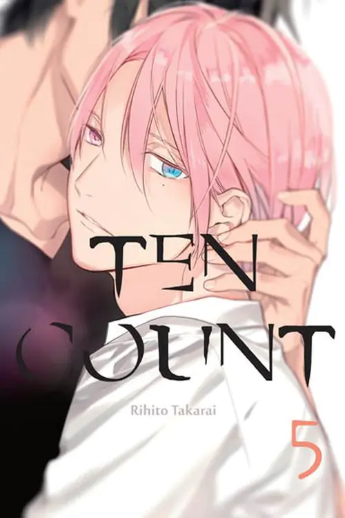 Książka - Ten Count. Tom 5