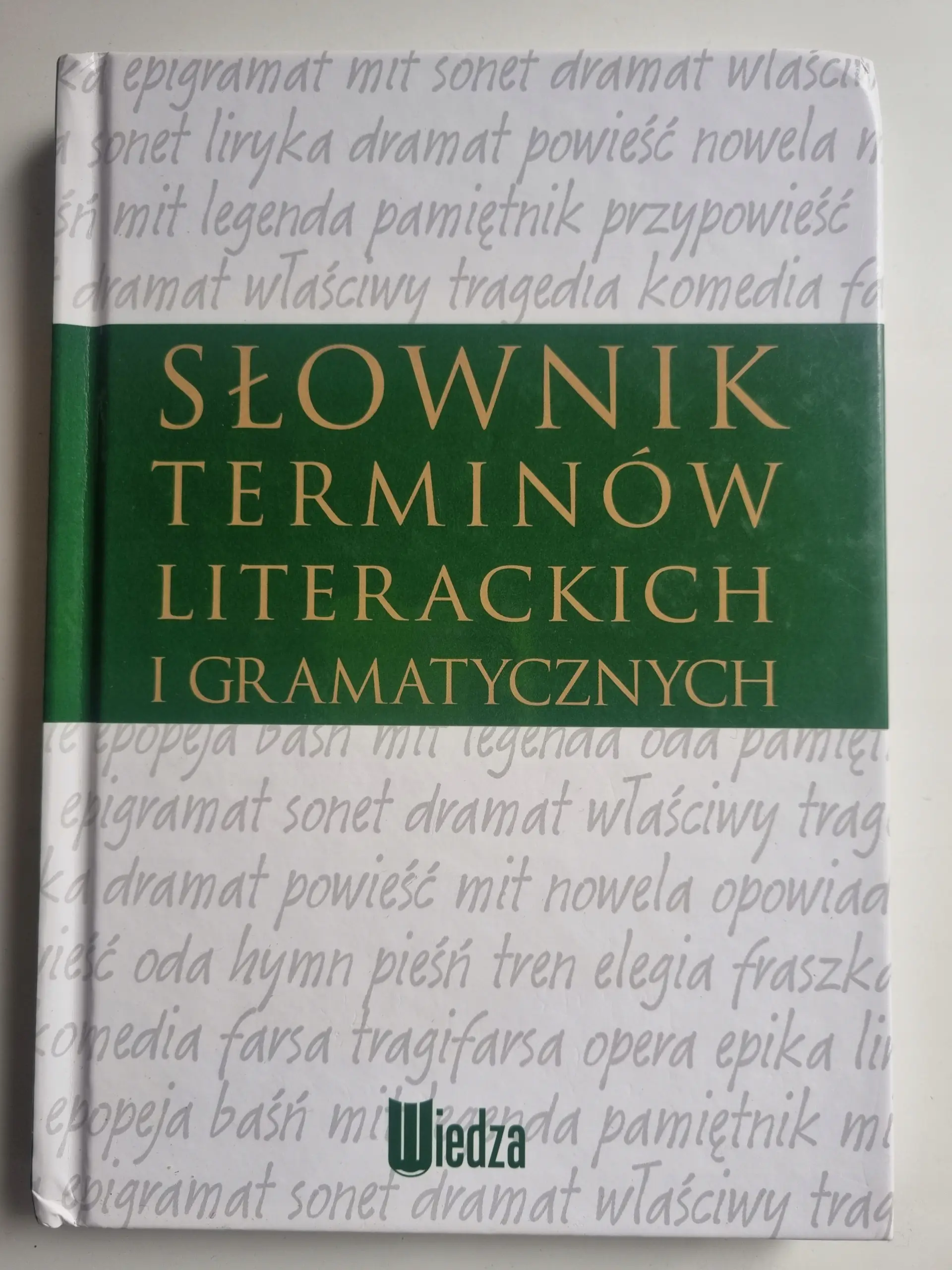 Książka - Słownik terminów literackich i gramatycznych