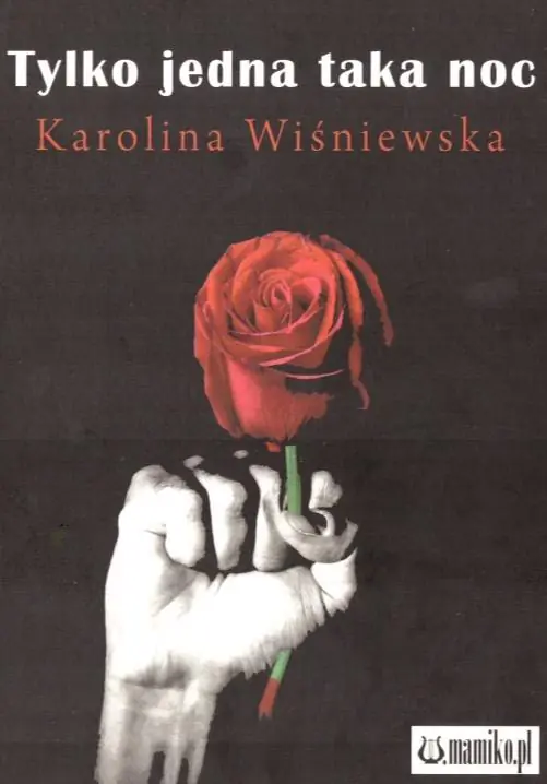 Książka - Tylko jedna taka noc