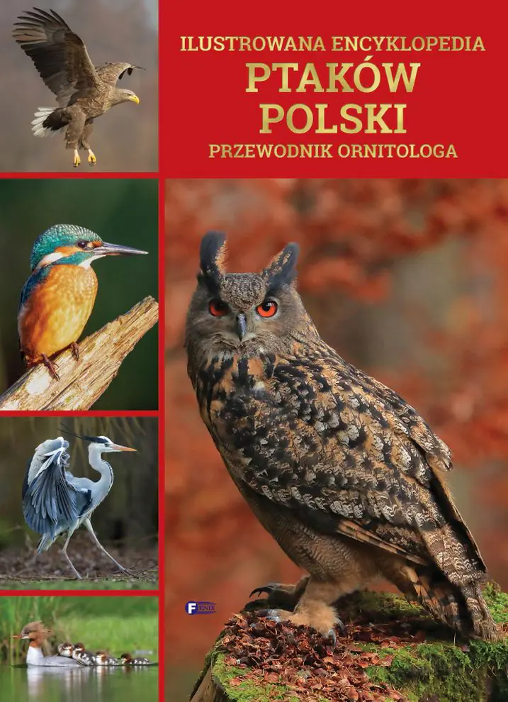 Książka - Ilustrowana encyklopedia ptaków Polski. Przewodnik ornitologa