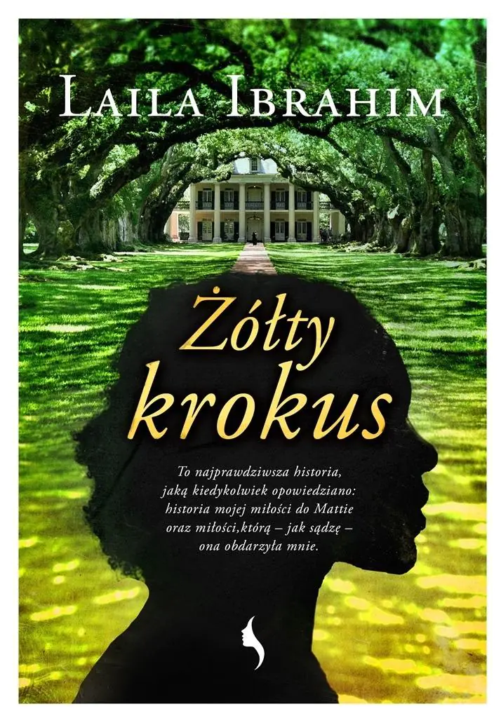 Książka - Żółty krokus