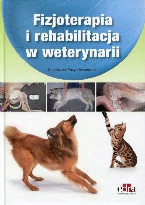 Książka - Fizjoterapia i rehabilitacja w weterynarii
