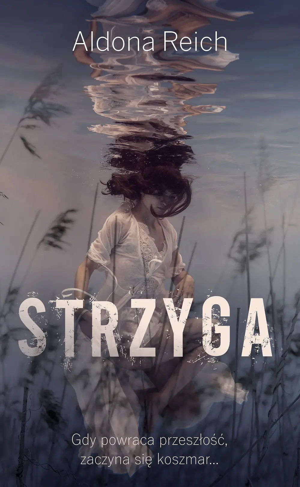 Książka - Strzyga
