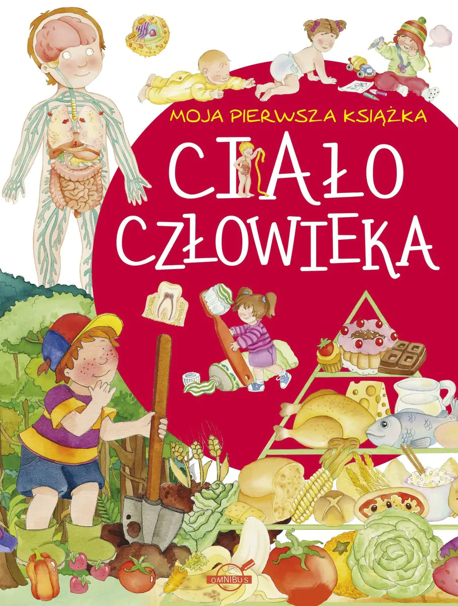 Książka - Moja pierwsza książka. Ciało człowieka