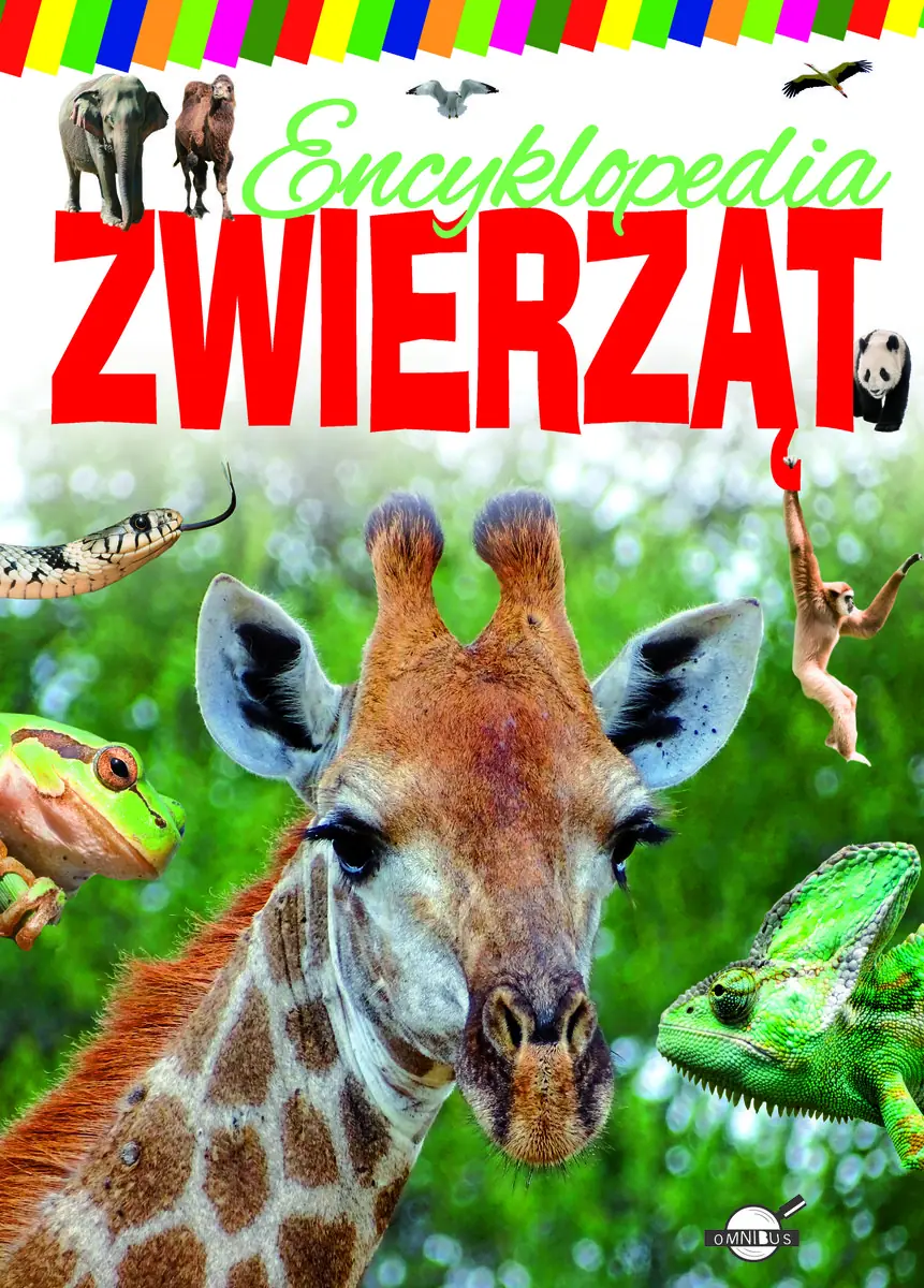 Książka - Encyklopedia zwierząt