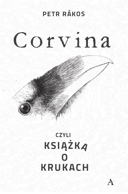 Książka - Corvina, czyli książka o krukach