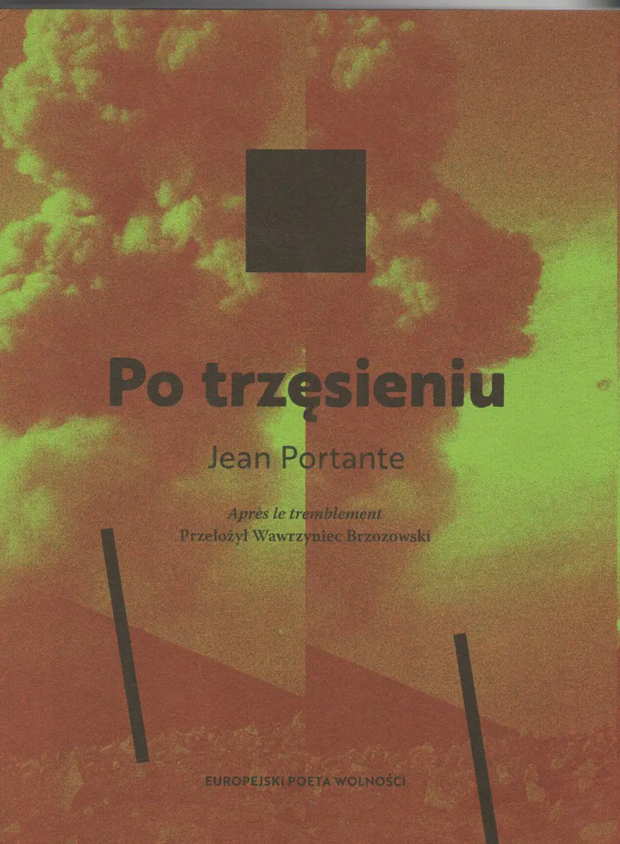 Książka - Po trzęsieniu