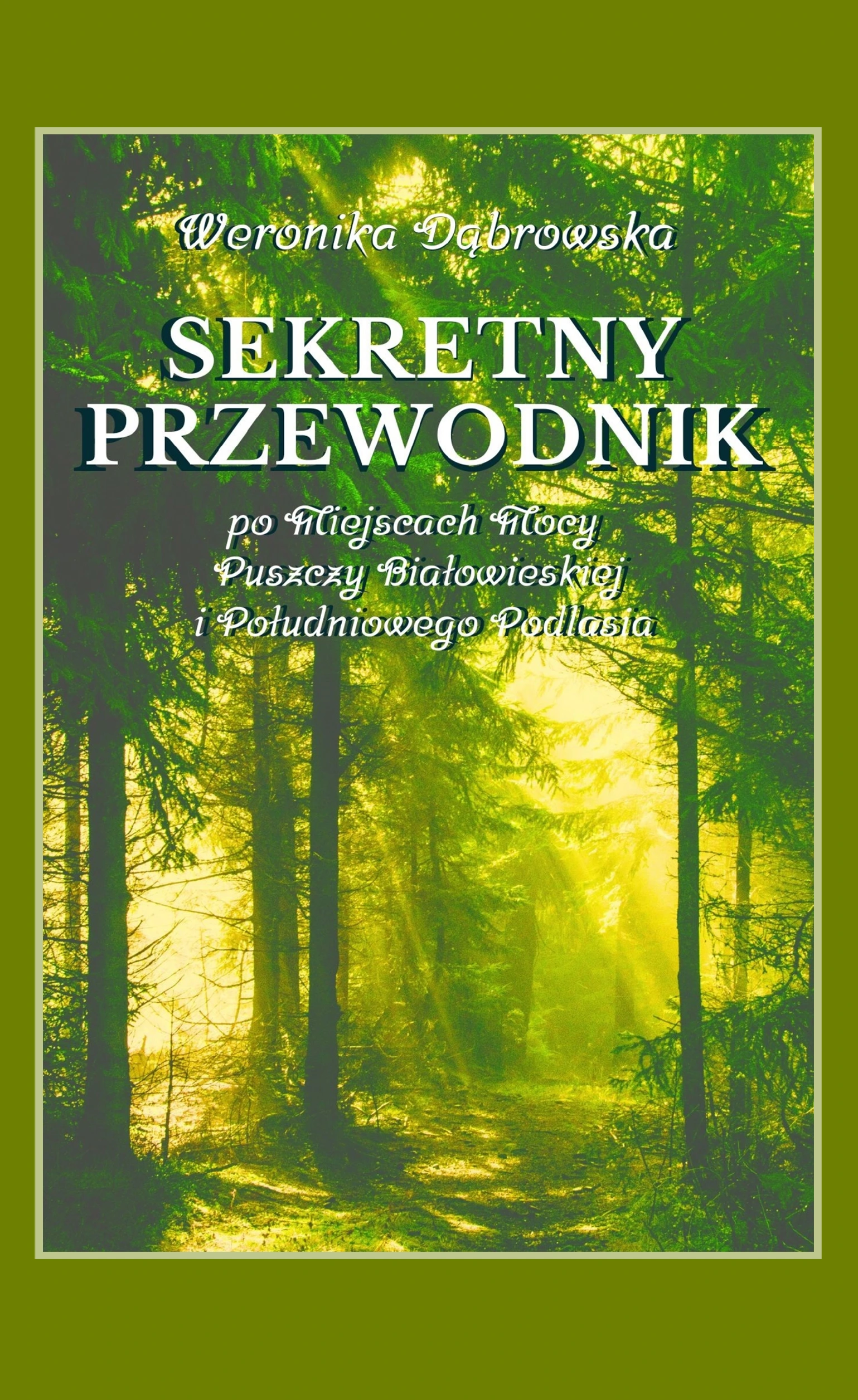 Książka - Sekretny Przewodnik