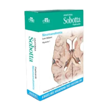 Anatomia Sobotta Flashcards Neuroanatomia.