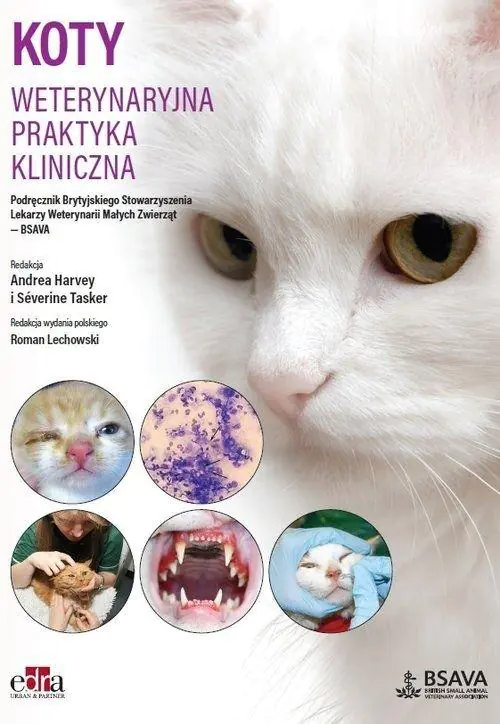 Książka - Koty. Weterynaryjna praktyka kliniczna