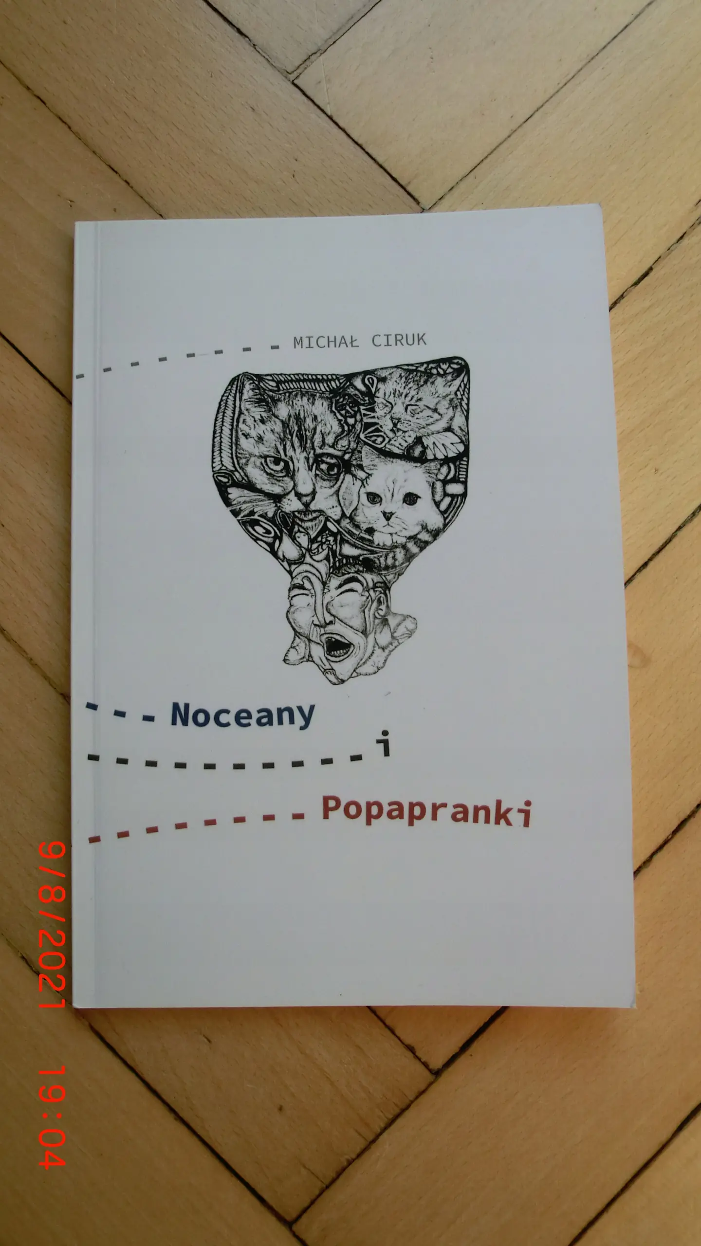 Książka - Noceany i Popapranki