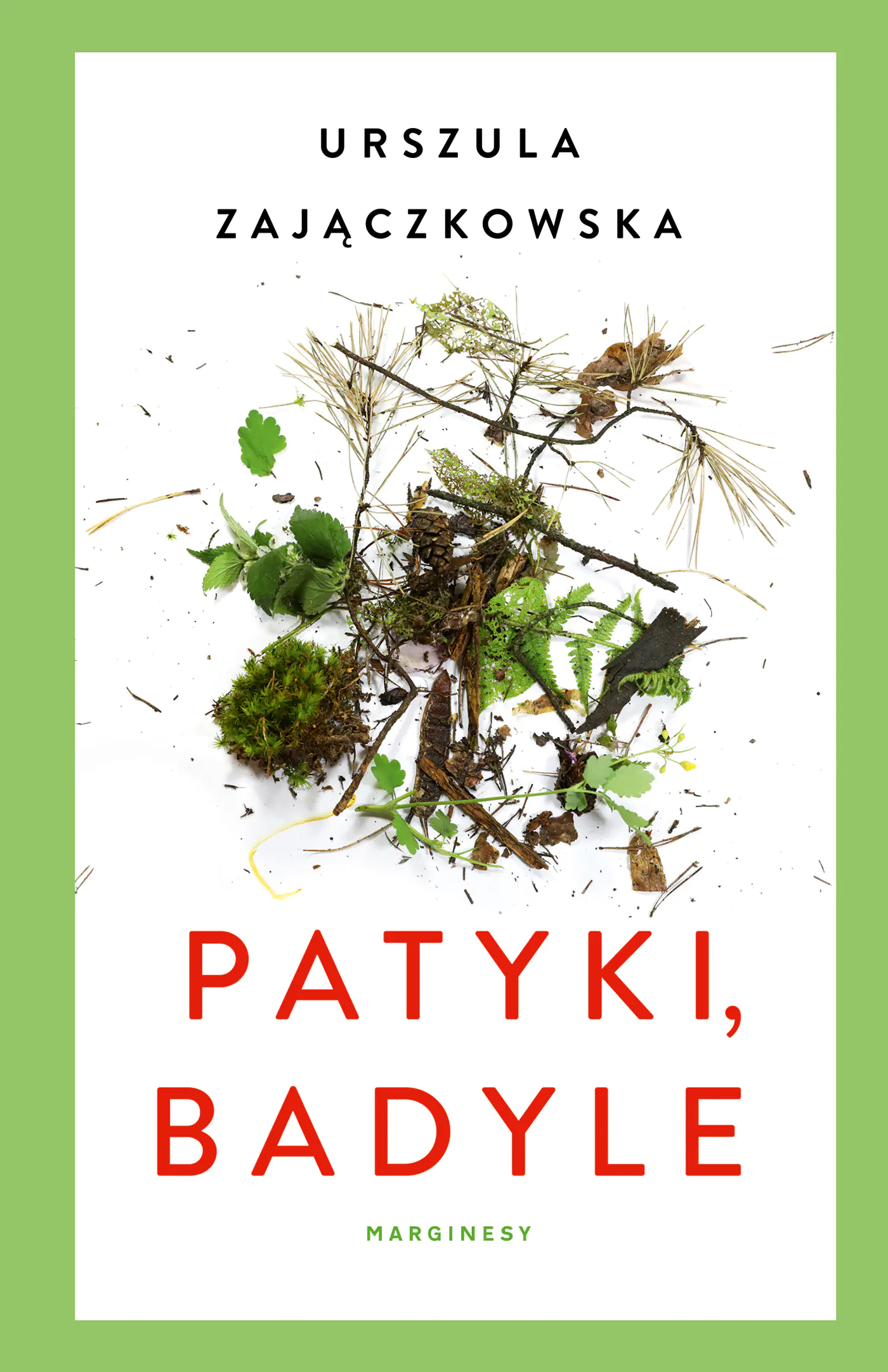Książka - Patyki, badyle