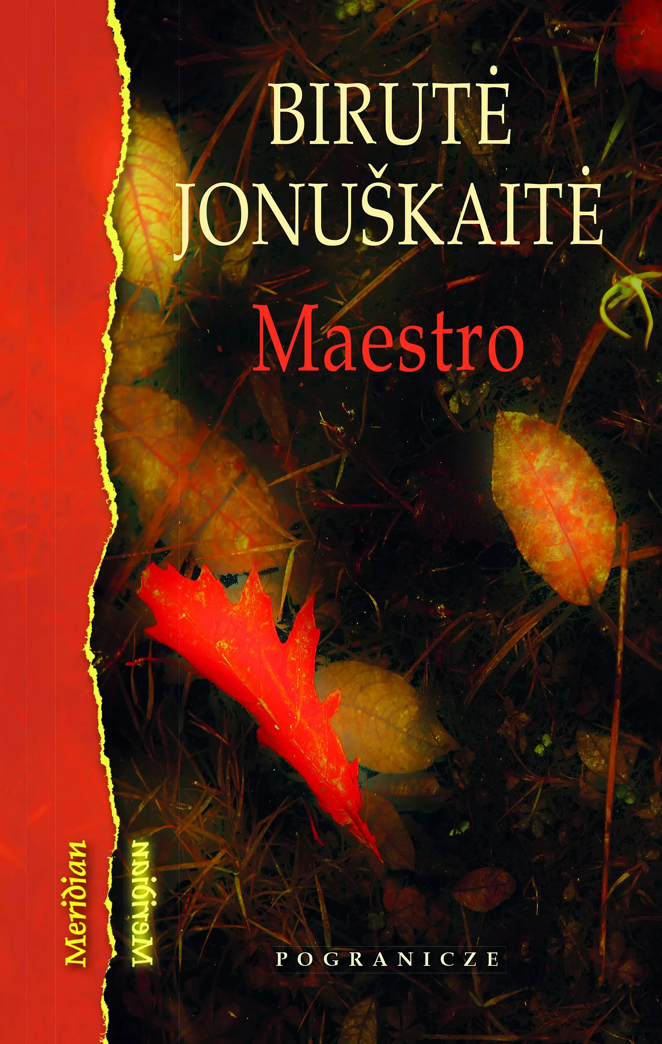 Książka - Maestro