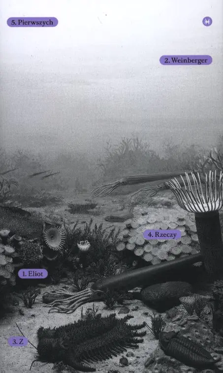 Książka - Z rzeczy pierwszych