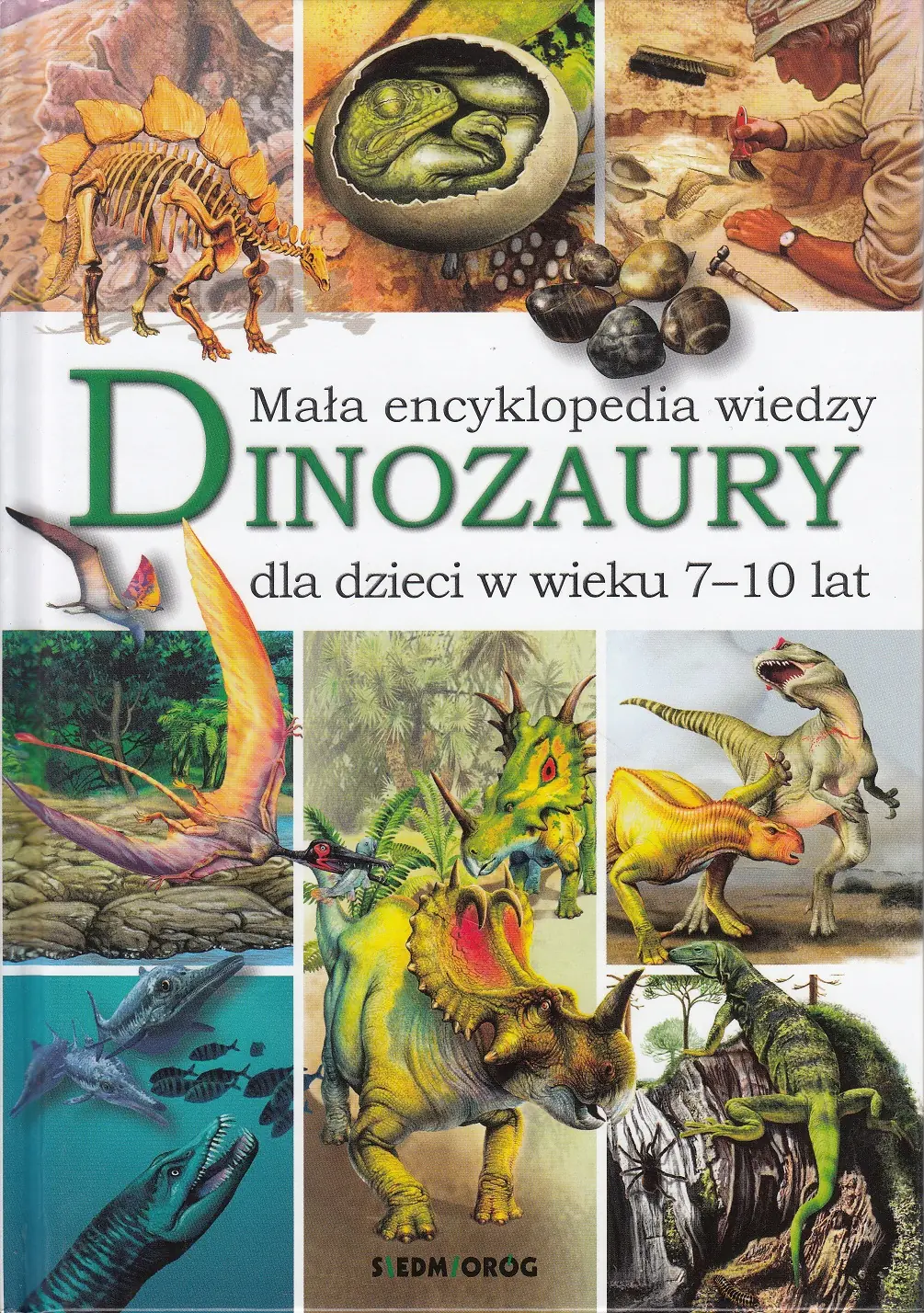 Książka - Dinozaury. Mała encyklopedia wiedzy
