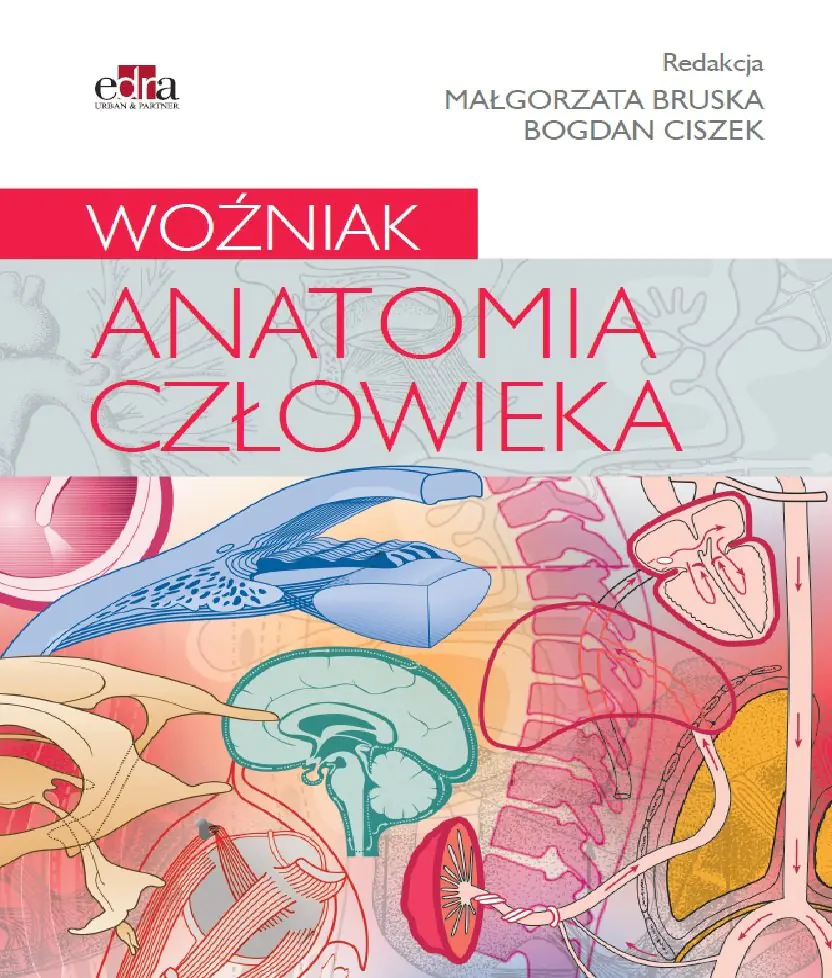 Książka - Anatomia człowieka