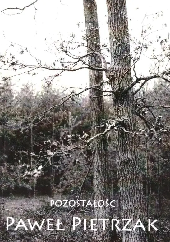 Książka - Pozostałości