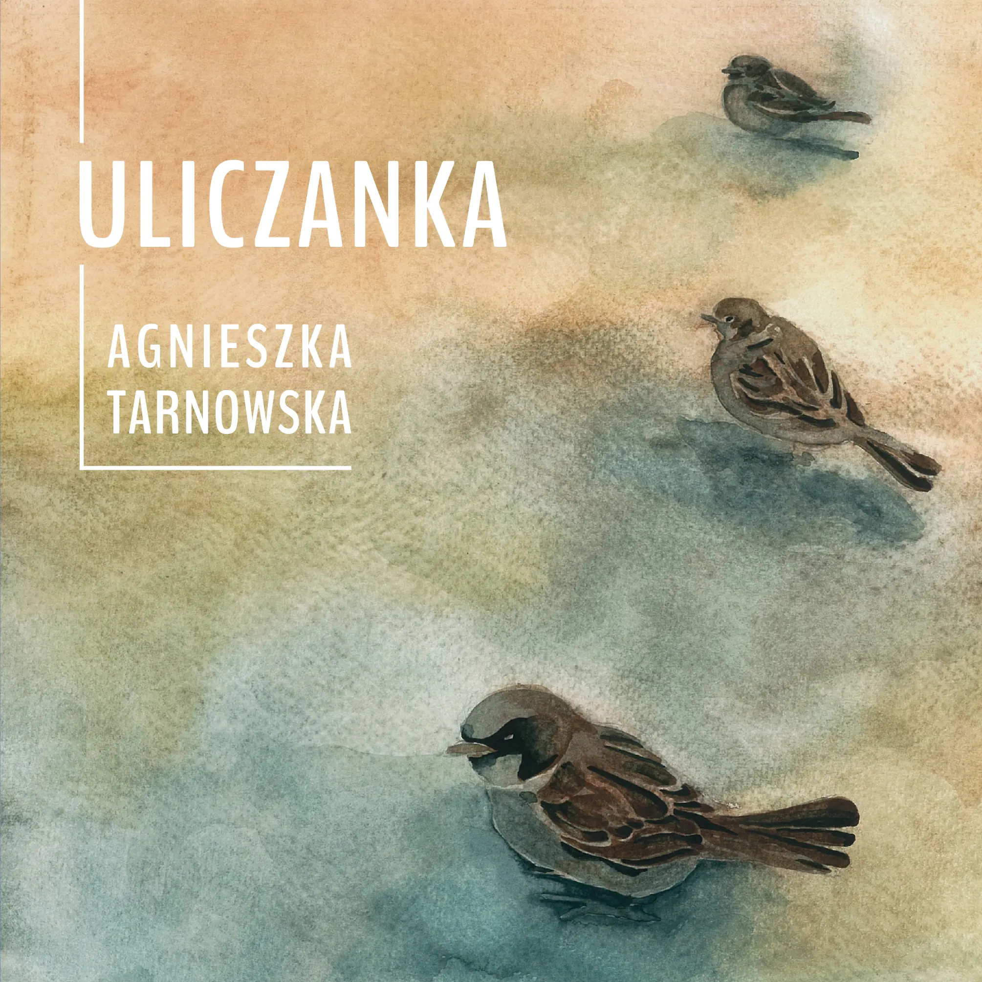 Książka - Uliczanka
